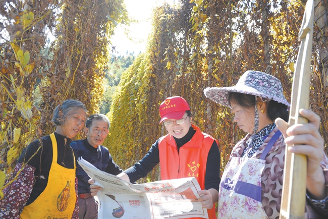 雷峰镇：深入学习贯彻十九届六中全会精神 - 憨鼠网