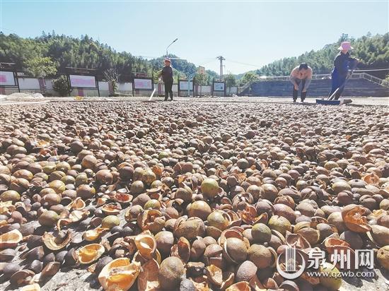 让乡村发展尽显魅力更添活力 杨梅乡精准发力培育乡村振兴新动能 - 憨鼠网