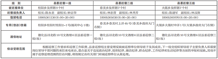 十四届德化县委第三轮第一批巡察公告 - 憨鼠网