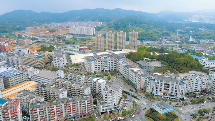 舞动园区党建“龙头” 凝聚产业发展合力 - 憨鼠网