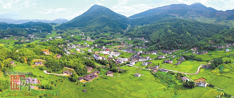 农旅融合 乡村振兴显活力 - 憨鼠网