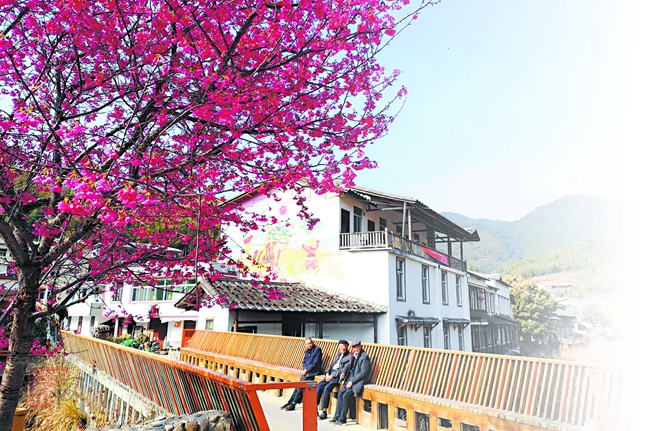 全域旅游赋能 打造生态旅游小镇 - 憨鼠网