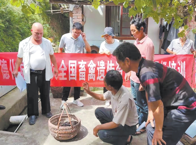 推进畜禽遗传资源普查工作 - 憨鼠网