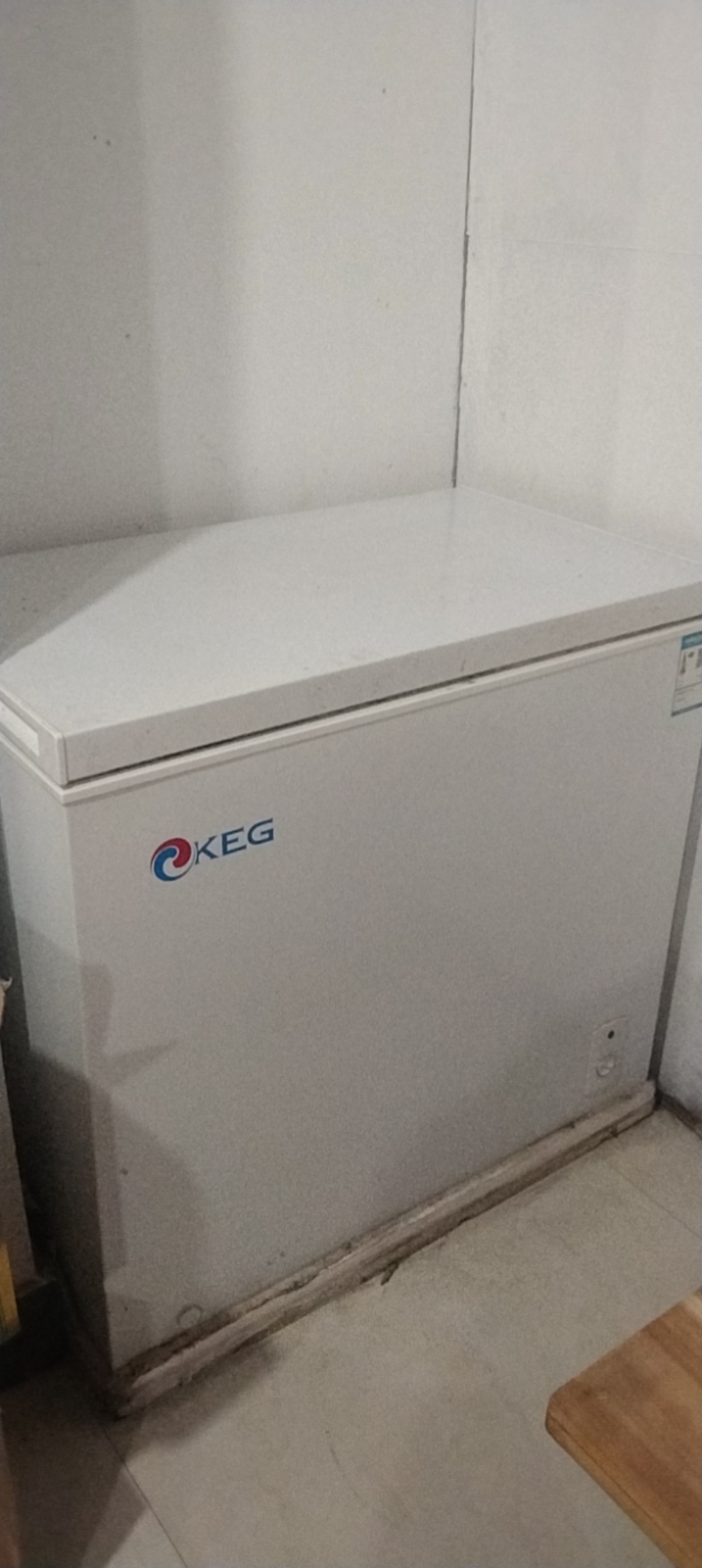 KEG韩电 冰柜商用220升容量冷冻单温铜管速冻冰柜